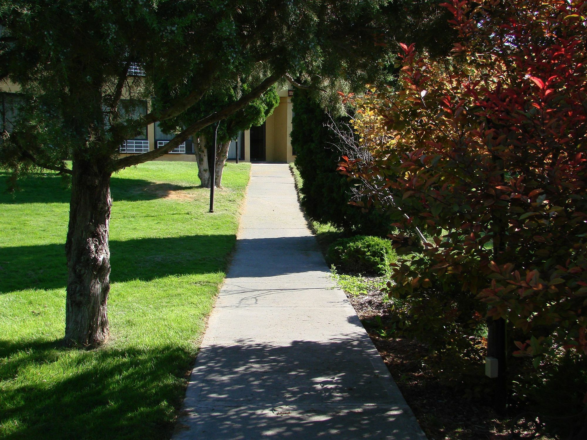 Econo Lodge Near Snake River Idaho Falls Extérieur photo